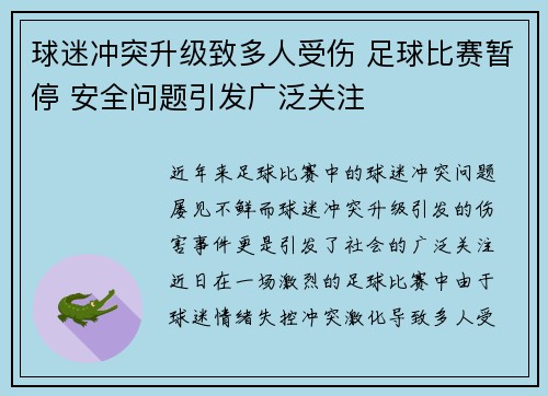 球迷冲突升级致多人受伤 足球比赛暂停 安全问题引发广泛关注