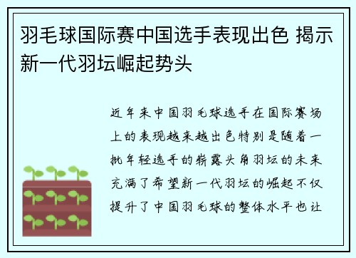 羽毛球国际赛中国选手表现出色 揭示新一代羽坛崛起势头